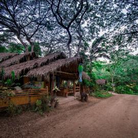 Río Muchacho Organic Farm