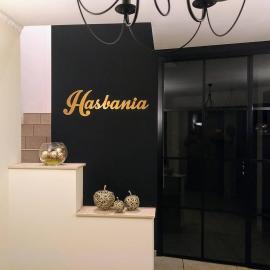 Hasbania Vakantiewoning，位于Gingelom的酒店