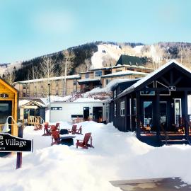 Tiny Homes at Powderhorn Mountain Resort，位于Mesa的酒店