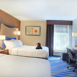 Holiday Inn Cody - Convention Center by IHG，位于科迪的酒店