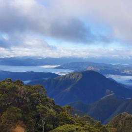 Off The Beaten Trail Acc & Bike Tours，位于默奇森的酒店