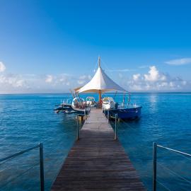 Coco de Mer Hotel and Black Parrot Suites，位于普拉兰大安塞区的酒店