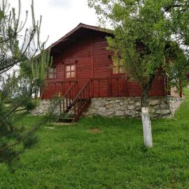 Pensiunea Gernik 100，位于Gârnic的酒店