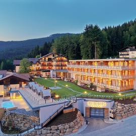 Wellnesshotel Riedlberg，位于德拉塞尔斯里德的酒店