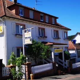 Hotel Irene，位于巴特柯尼希的酒店