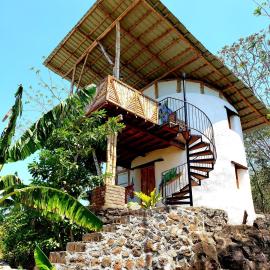 The Jungle Lodge，位于Mérida的酒店