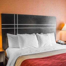 Howard Johnson by Wyndham Columbus State Fairgrounds I-71,位于沃辛顿的酒店