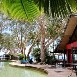 Turtle Cove Beach Resort - Respectful Adults Only - BYO food & beverage Resort，位于Oak Beach的酒店