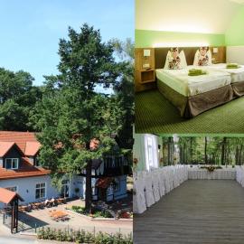 Hotel Zur Waldhufe,位于Doberlug-Kirchhain的酒店