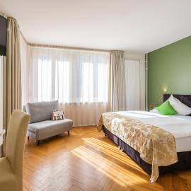Hotel Oltnerhof - self check-in and self service，位于奥尔滕的酒店