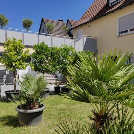 Haus zum Schlosspark，位于法伊茨赫夏伊姆的酒店