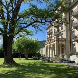 Parkhotel du Sauvage，位于迈林根的酒店