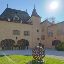 Château de la Venerie，位于Denicé的酒店