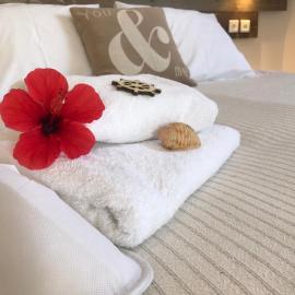 Ammos Luxury Studios，位于艾丽奇的酒店