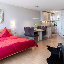 Apartment "Köhler" mit Berg- und Bodenseesicht，位于Oberteuringen的酒店