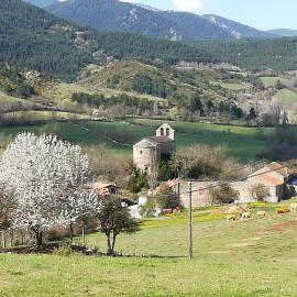 Alberg Rural La Rectoria de Pedra，位于贝尔维尔德赛当亚的酒店
