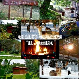 Chalet Vacanze Il Daino，位于莱奥内萨的酒店