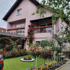 Apartman Vesna，位于别洛瓦尔的酒店