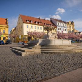 Hotel Česká Koruna，位于德辛的酒店