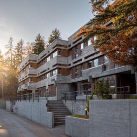 Sport Resort Fiesch, Garni Goneri，位于菲施的酒店
