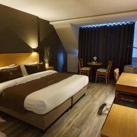 Hotel The New Fox，位于阿夫利赫姆的酒店