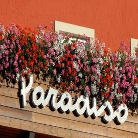 Hotel Paradiso