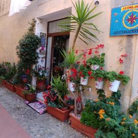 Affittacamere Rosa Dei Venti，位于莱万托的酒店