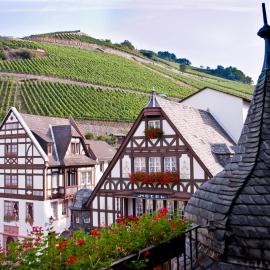 AKZENT Hotel Berg's Alte Bauernschänke- Wellness und Wein，位于吕德斯海姆的酒店