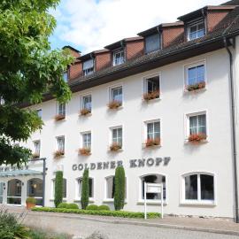 Hotel Goldener Knopf，位于巴特塞京根的酒店