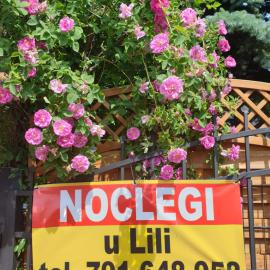 Noclegi u Lili，位于奇武胡夫的酒店