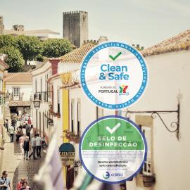 Rainha Santa Isabel - Óbidos History Hotel，位于奥比多斯的酒店
