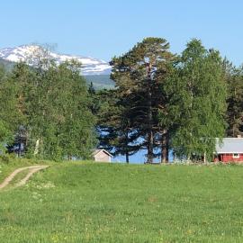 Strandgården i Åredalen, stugor，位于Mörsil的酒店