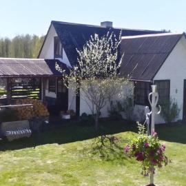Vahtra Vacation House