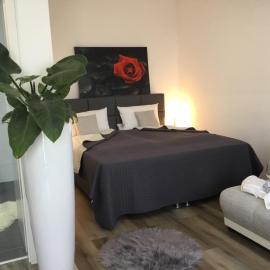 Hotel Zum Berggarten,位于卡塞尔的酒店