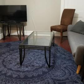 E Michigan Walk Up Furnished 1 Bedroom APT，位于兰辛的酒店
