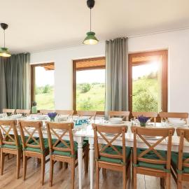Rose Hip Hill Guesthouse，位于Valea Tîrnei的酒店