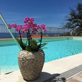 Hotel Mediterraneo,位于卡迪拉瓦尼亚的酒店