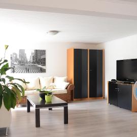 Appartements am Bodensee Nähe Konstanz，位于Ermatingen的酒店