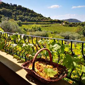 La Tinaia Country House