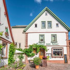 Adler Landhotel，位于伯格斯塔特的酒店