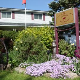 Carrousel Bed & Breakfast，位于Cayuga的酒店