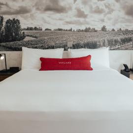 Vinland Hotel and Lounge，位于索尔万的酒店