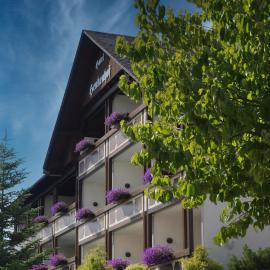 Landhotel Henkenhof Willingen，位于维林根的酒店