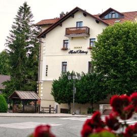 Hotel Bitoraj Fužine，位于弗济内的酒店
