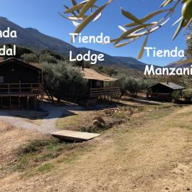 Cortijo Dos Santos，位于Valle de Abdalagís的酒店