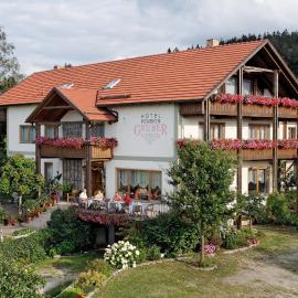 Landhotel Gruber，位于瓦尔德明兴的酒店
