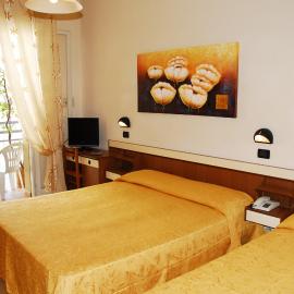 Hotel Devon Rooms & Breakfast，位于切塞纳蒂科的酒店