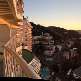 Mikawawan Resort Linx，位于Nishio的酒店