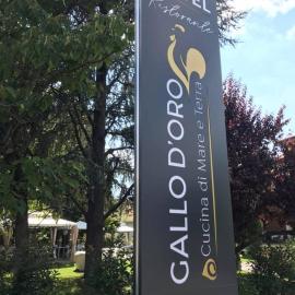Hotel Ristorante Gallo D'Oro，位于维尼奥拉的酒店