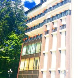 Hotel Hart，位于普雷代亚尔的酒店